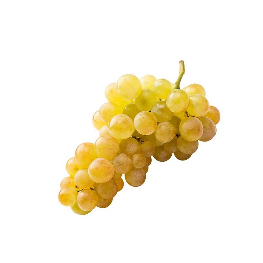 Raïm Moscatell