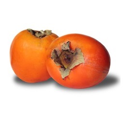 Caqui (Palosanto)