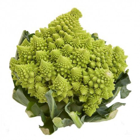 Bròquil Romanesco