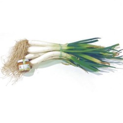 Calçots cuina