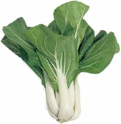 Pak Choi