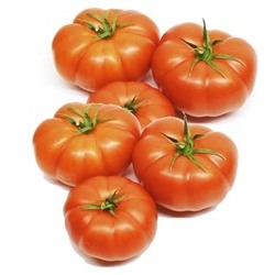 Tom&agrave;quet rebelion