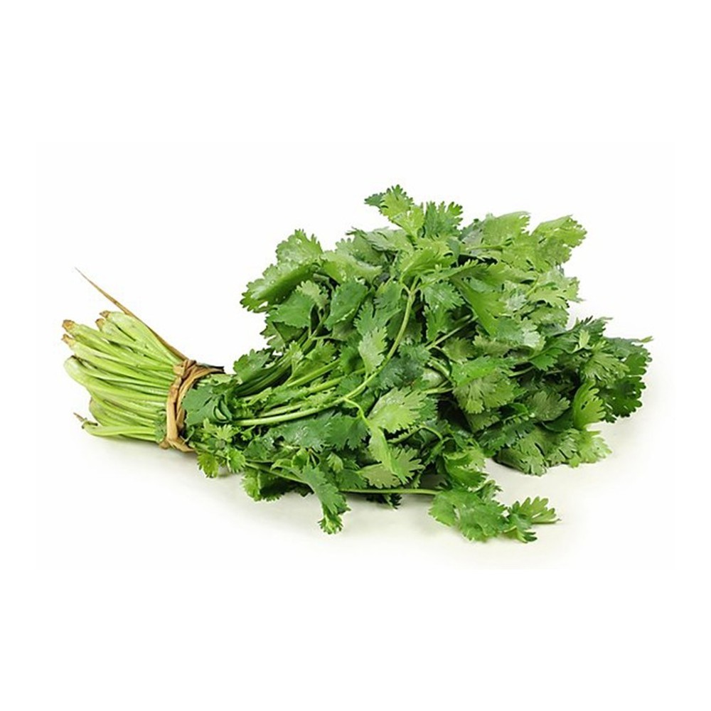 Coriandre manat (Cilantro)