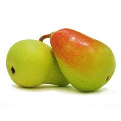 Pera Ercolina