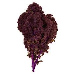 Col crespa (KALE) morada manat
