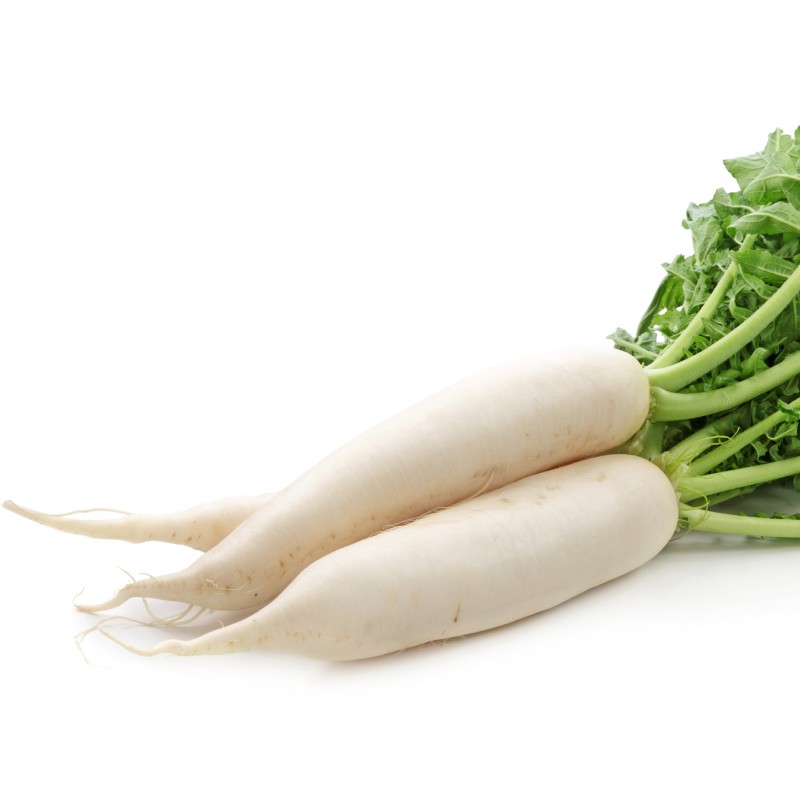 Nap Daikon granel