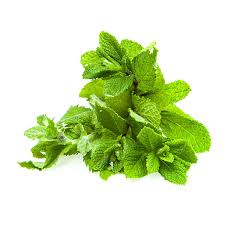 Menta fresca manat