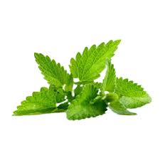 Tarongina fresca manat