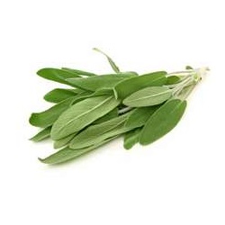 Sàlvia fresca manat