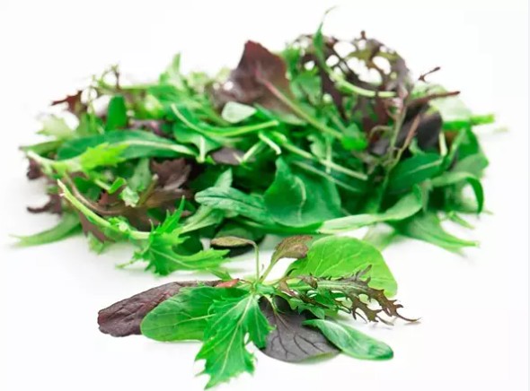 Mesclum Silvestre